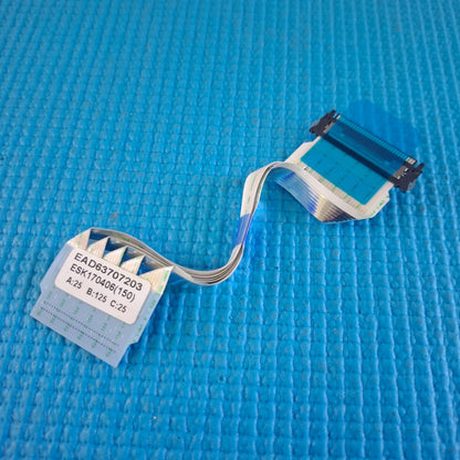 LVDS CABLE FOR LG 24MT41DF-PZ 24MT49DF-PZ 24MT48DF-PZ 24TK410V TV EAD63707203