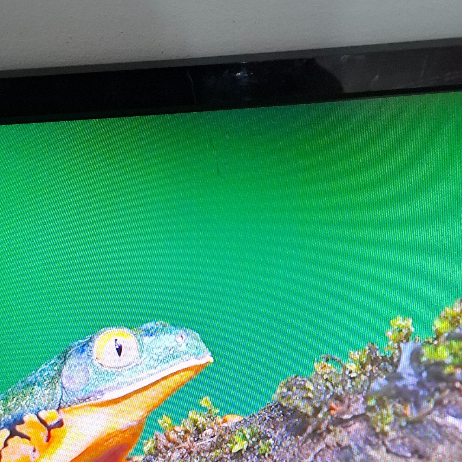 ACER AT2026ML 20" HD Ready LCD TV HDMI USB Scart - Black  | NO REMOTE - NO STAND