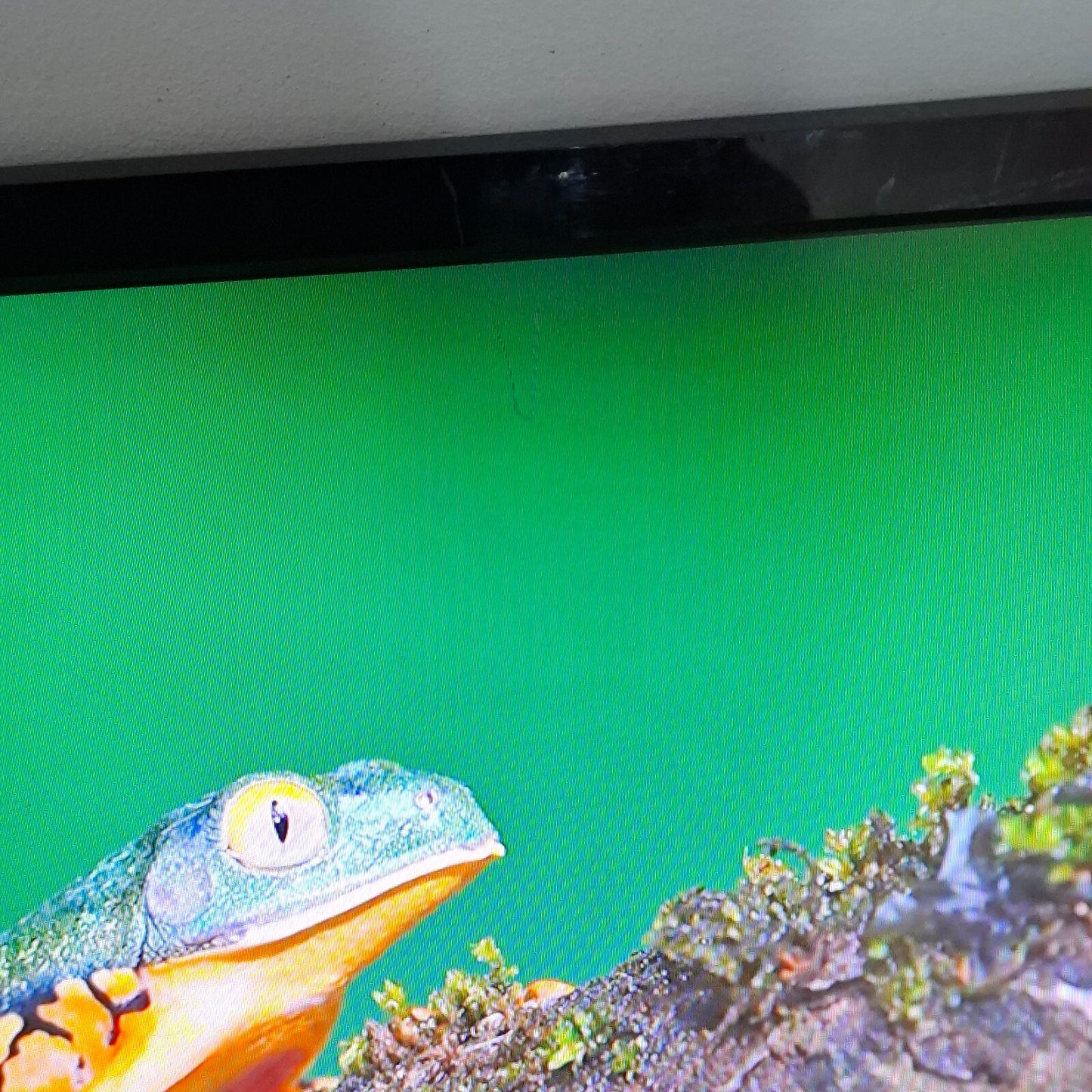 ACER AT2026ML 20" HD Ready LCD TV HDMI USB Scart - Black  | NO REMOTE - NO STAND